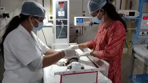 Newborn Buried Alive in the Country Fights for Existence