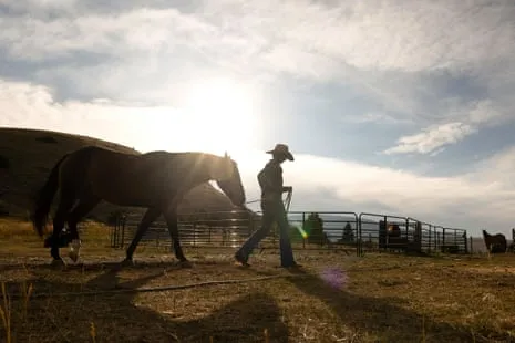 Discover the American Women Ranchers Redefining Contemporary Ranching