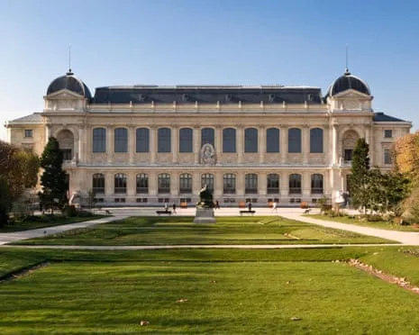 Invaluable Gold Pieces Stolen in Bold Heist at France's Natural History Institution