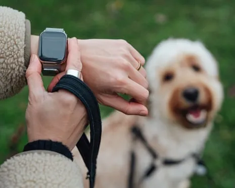 The Truth Regarding Wearable Tech? Life Improves Without a Nagging Device on Your Wristwear